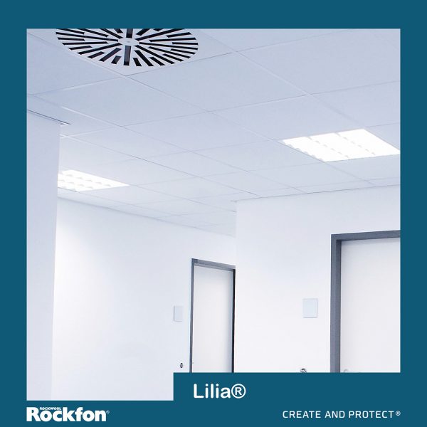 Rockfon Lilia